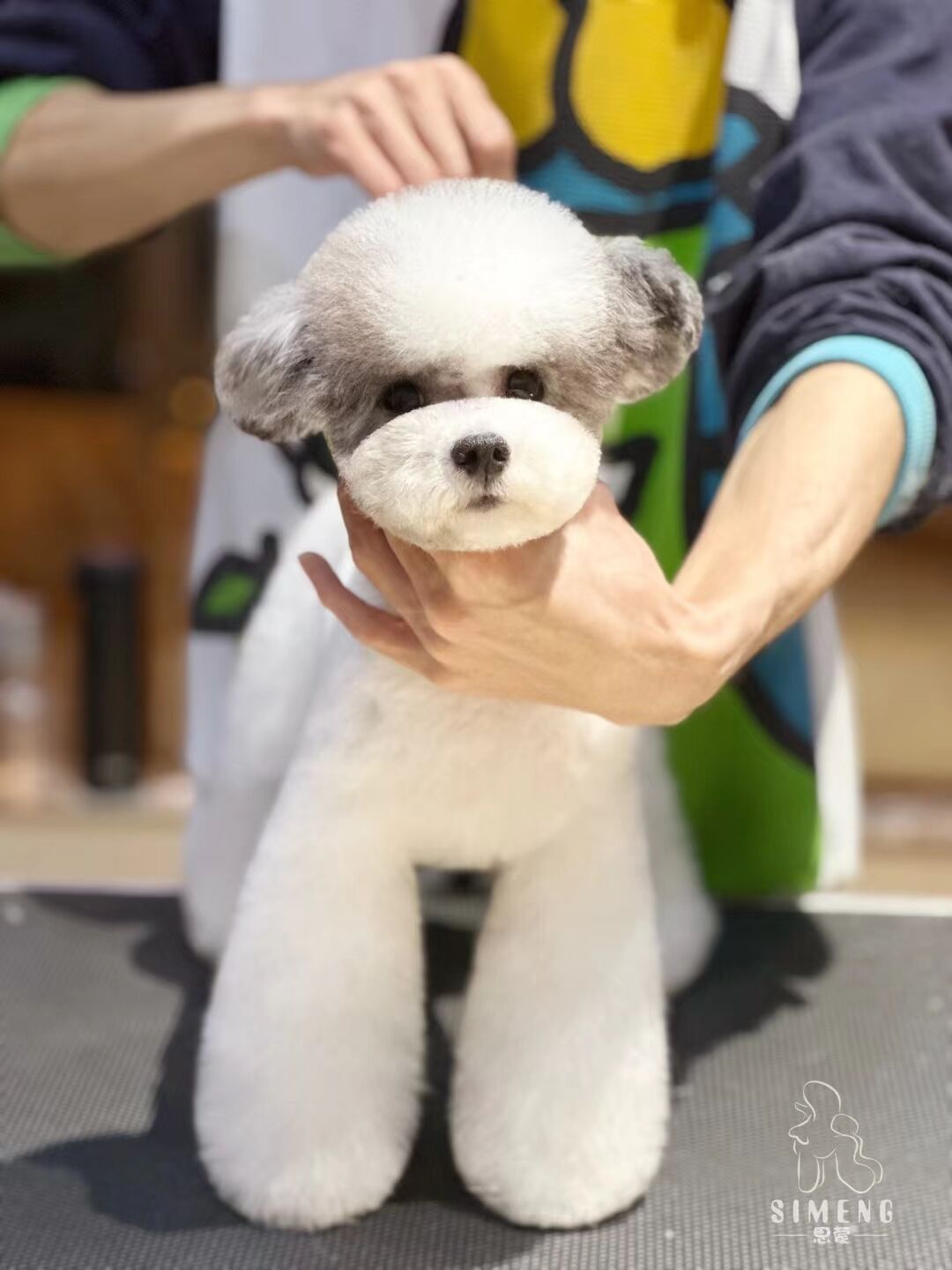 優秀作品