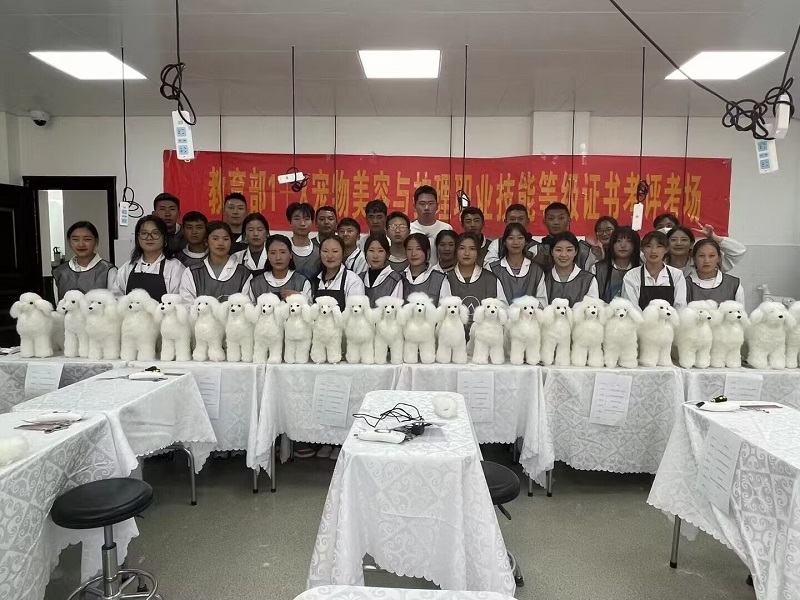 西藏職業(yè)技術(shù)學(xué)院寵物護(hù)理與美容考評工作