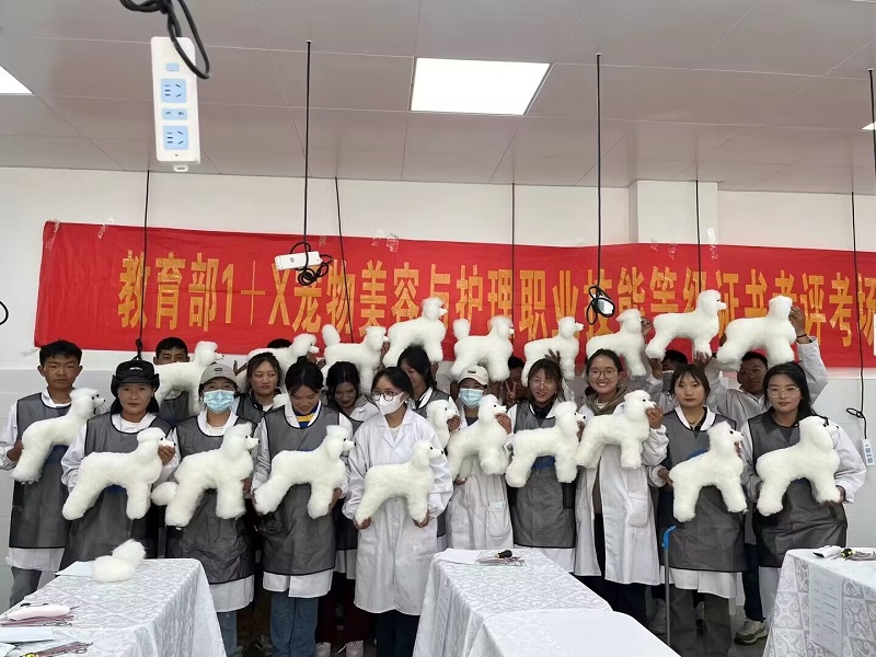 西藏職業(yè)技術(shù)學(xué)院寵物護(hù)理與美容考評工作