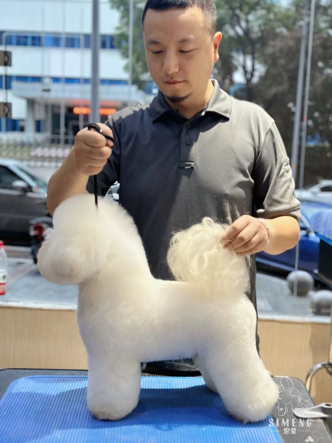 優(yōu)秀作品
