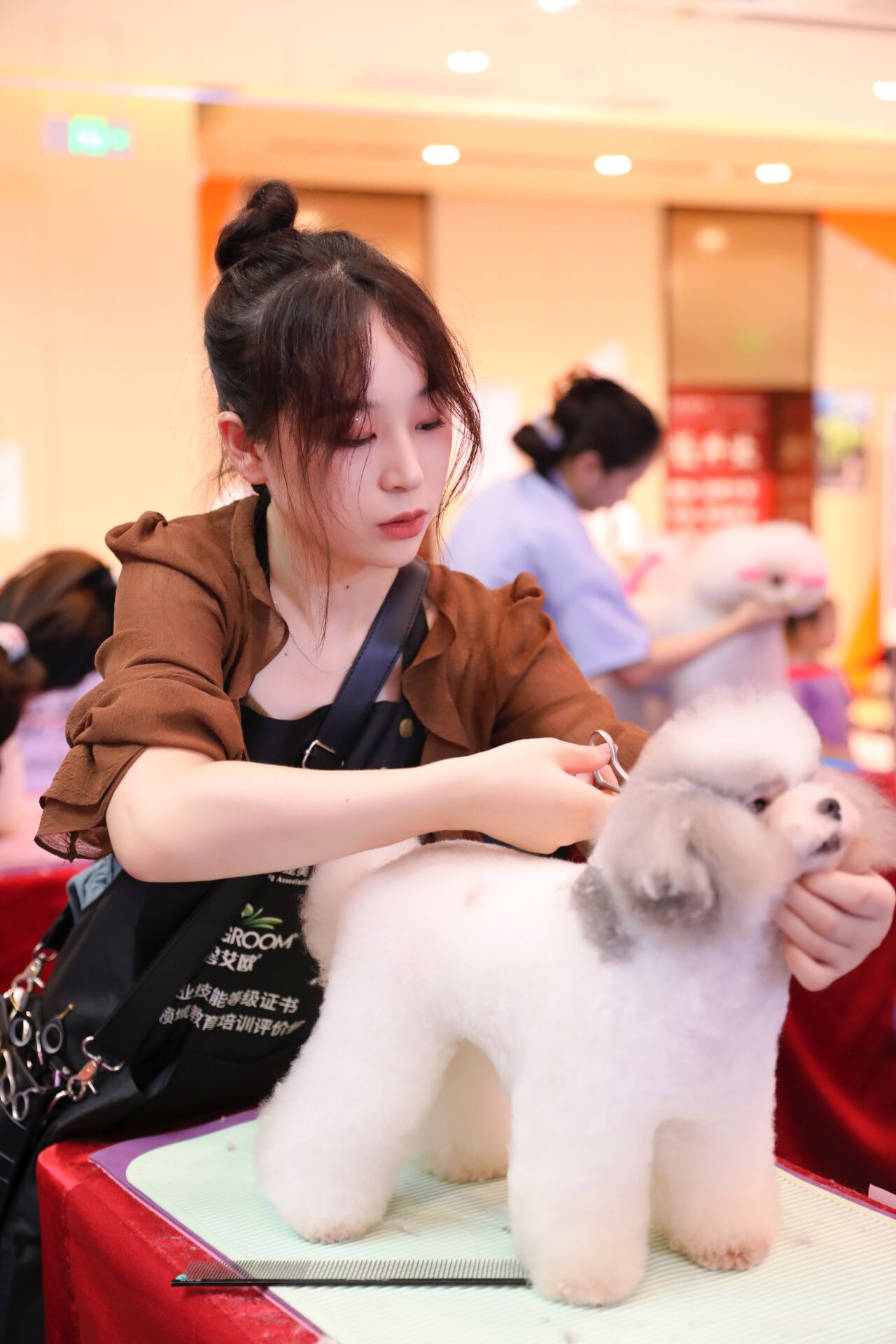 我們的榮譽