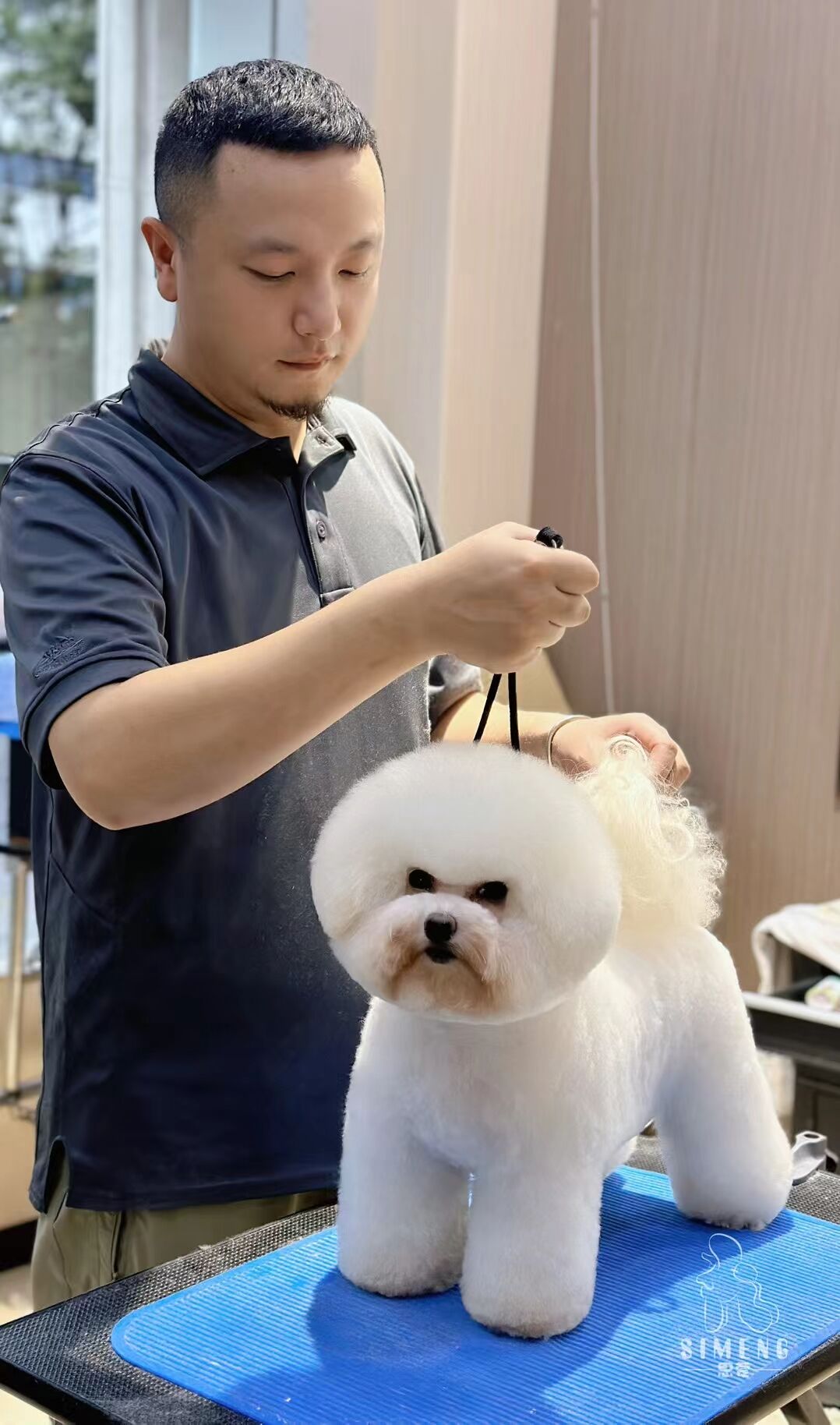 優(yōu)秀作品