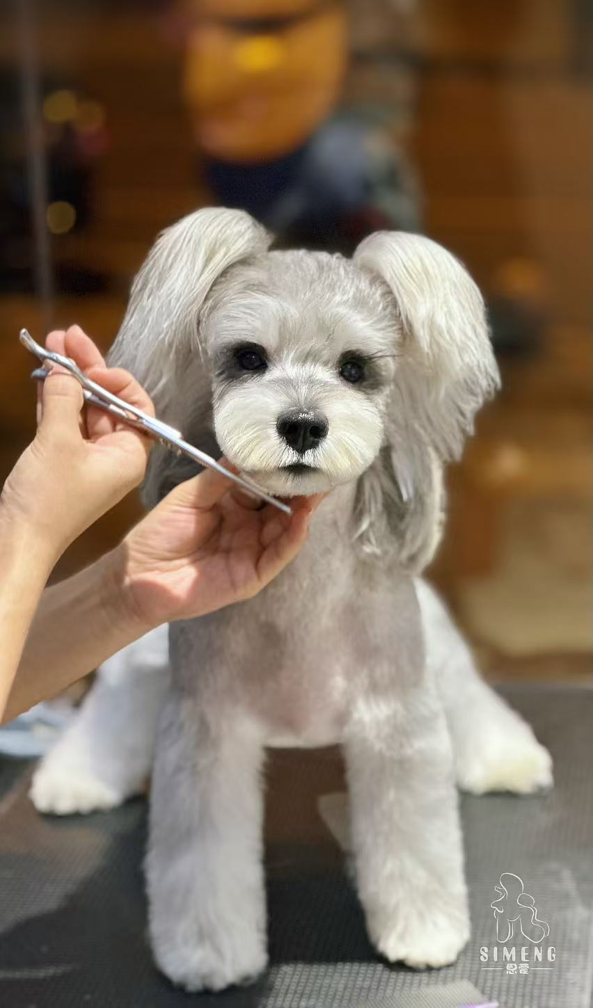優秀作品