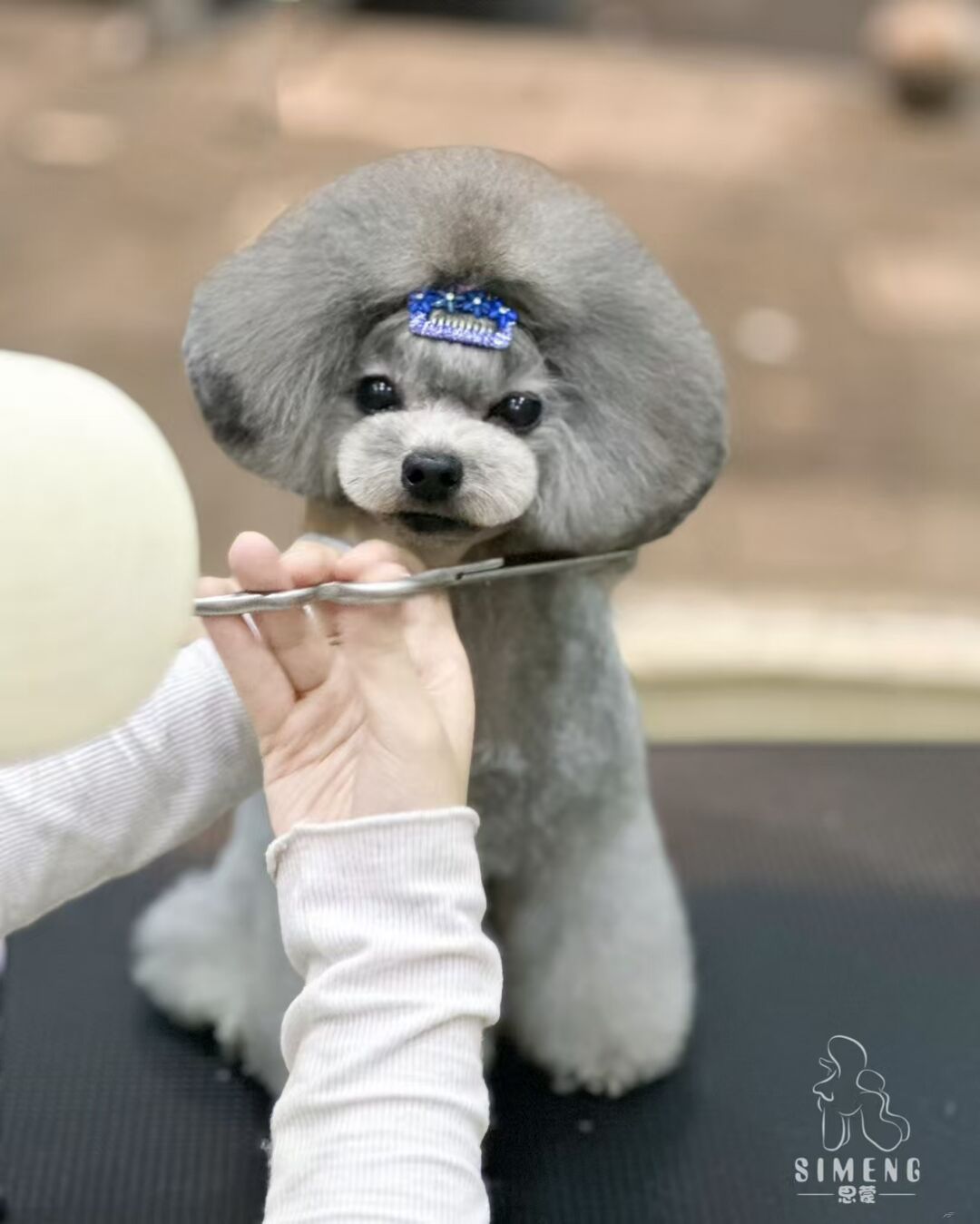 優秀作品