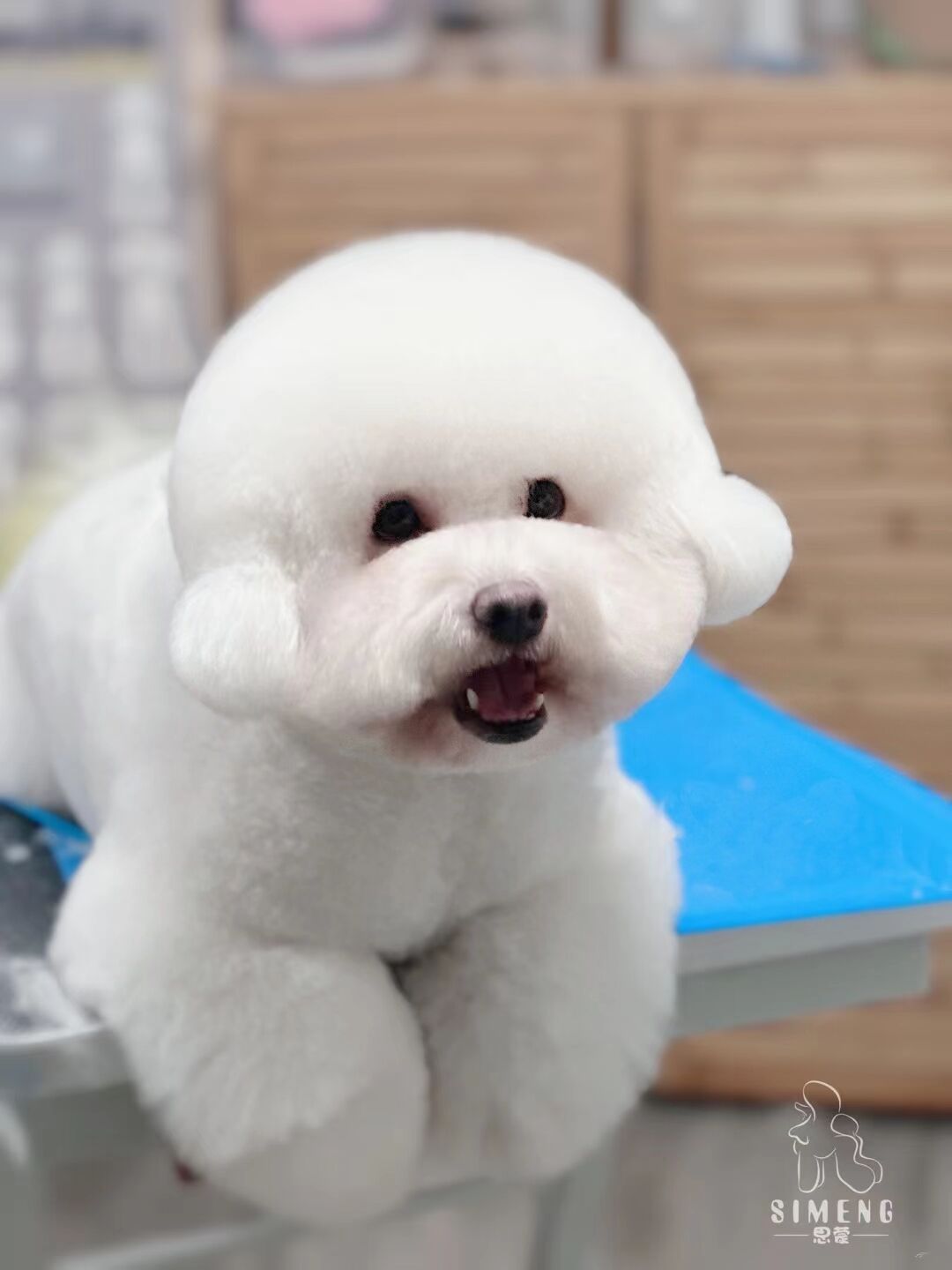 優秀作品