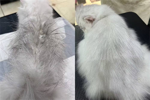 優秀作品