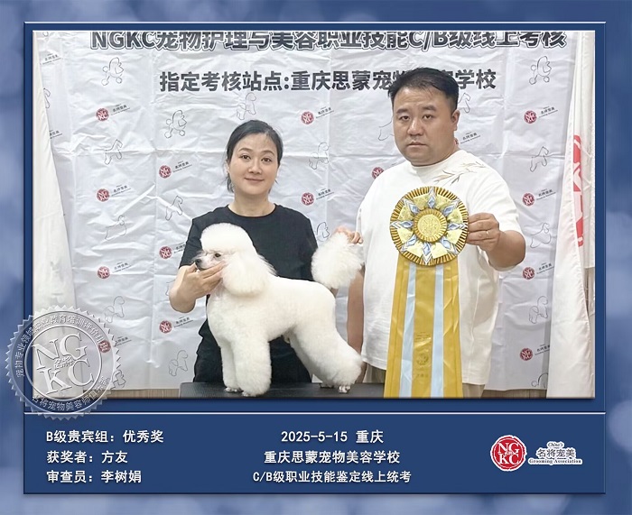 我們的榮譽