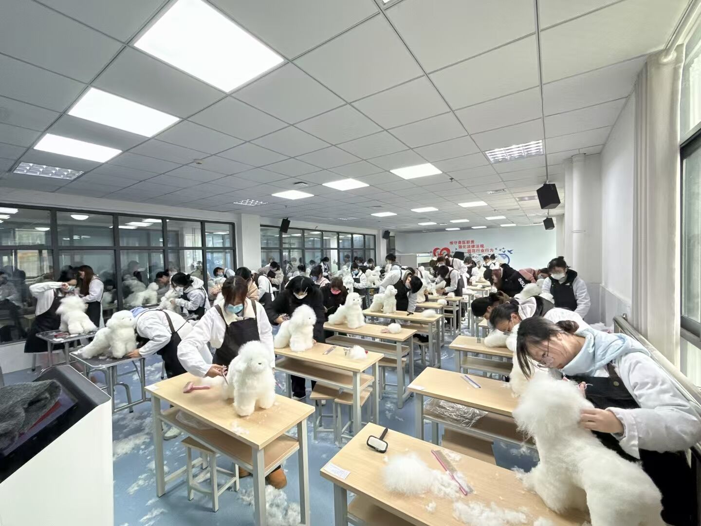 優(yōu)秀作品