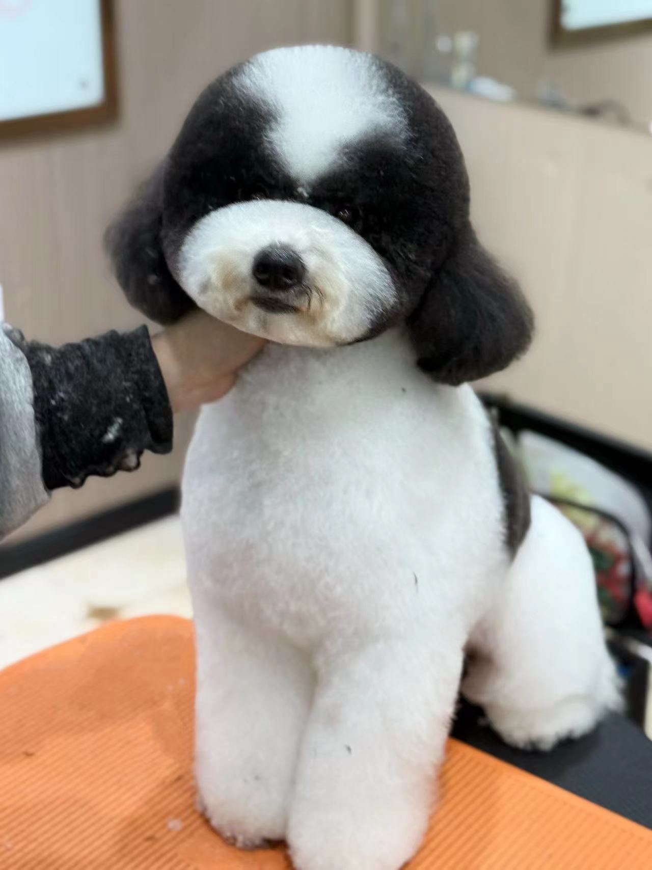 優(yōu)秀作品