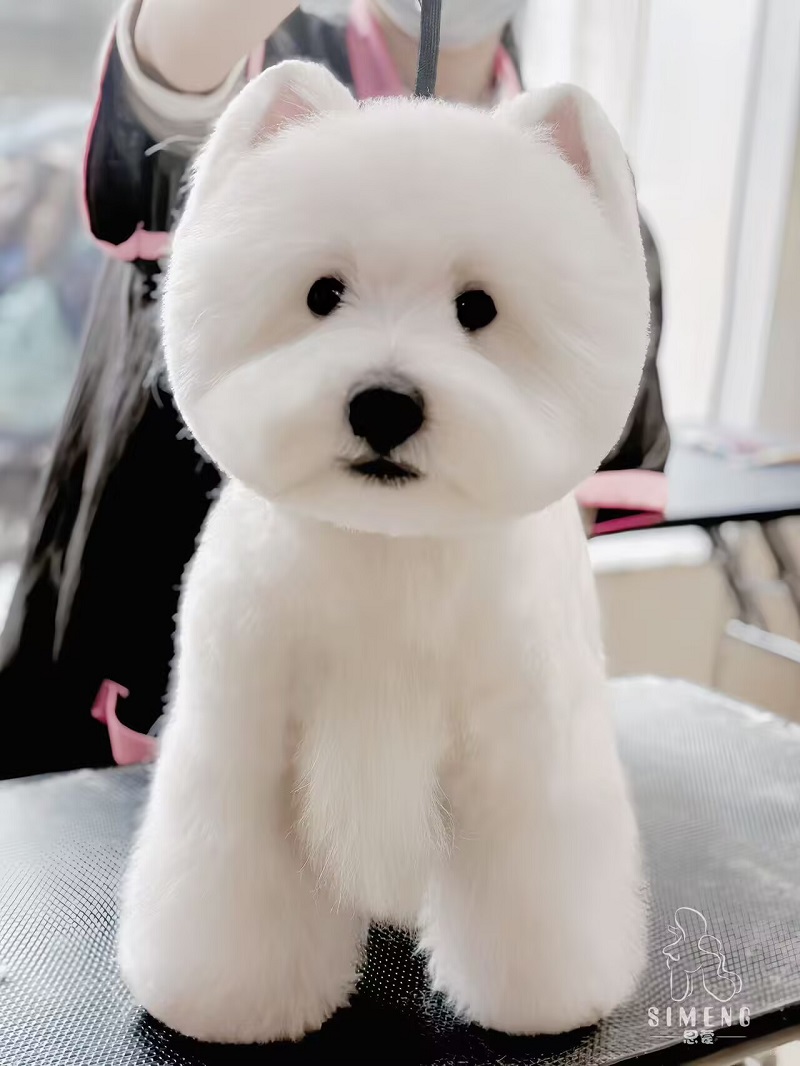 優秀作品
