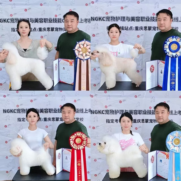 我們的榮譽