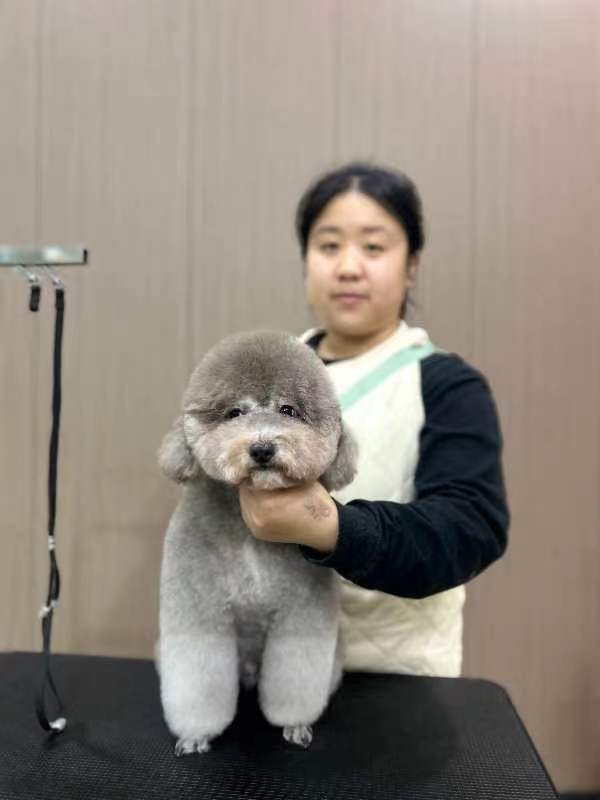 優(yōu)秀作品