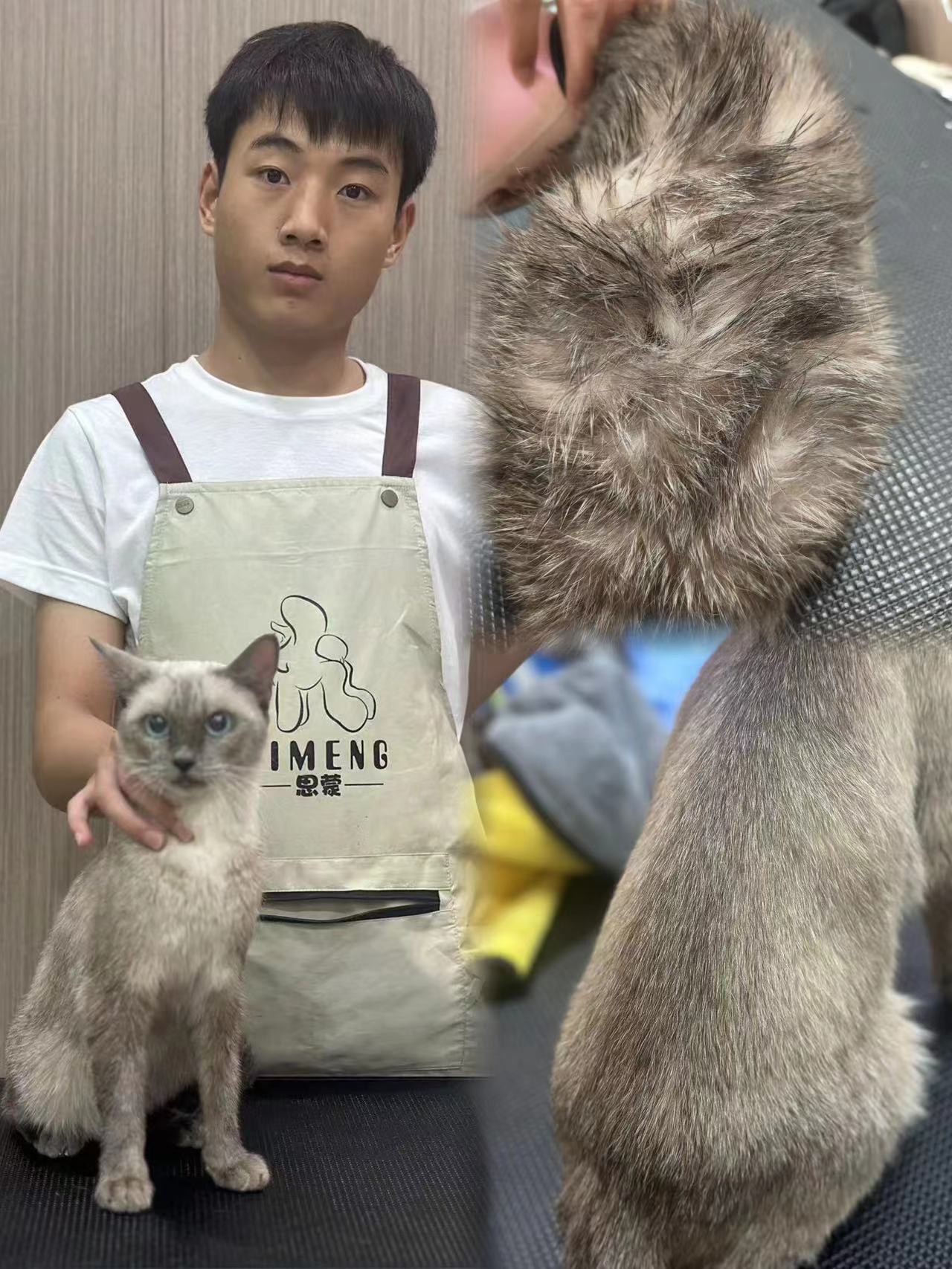 優秀作品