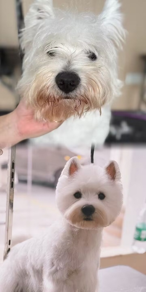優秀作品