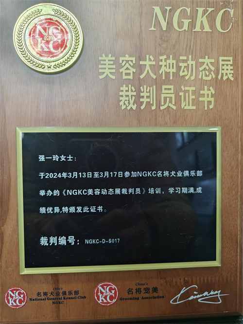 我們的榮譽