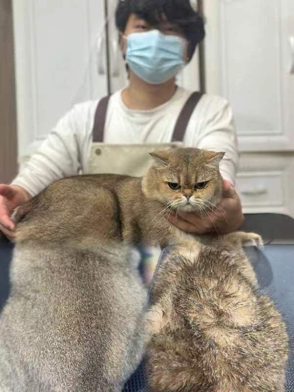 優秀作品