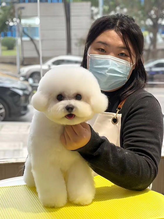 優秀作品