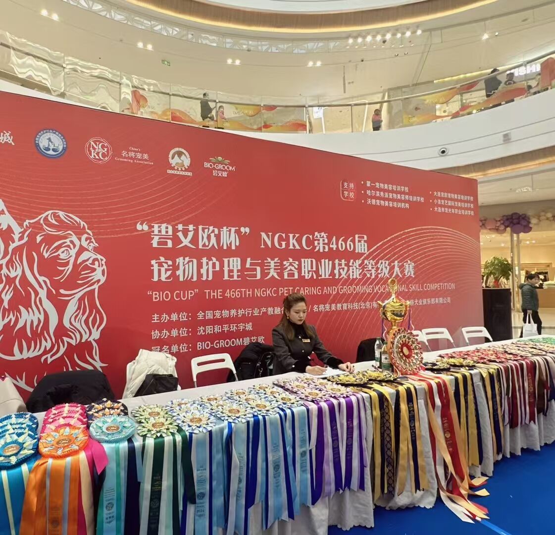 我們的榮譽