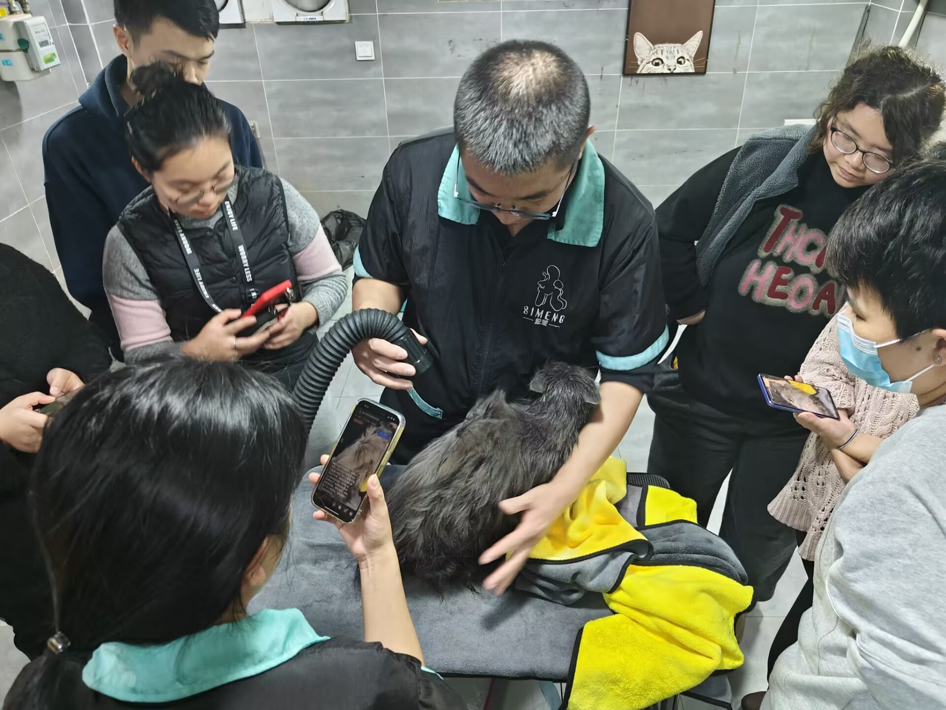 公開課：特邀貓洗護大師宮建永