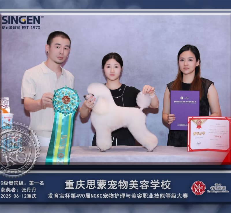 我們的榮譽