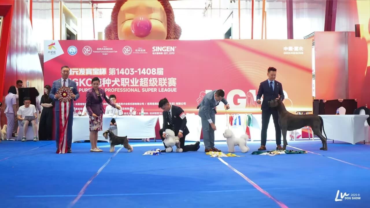 我們的榮譽