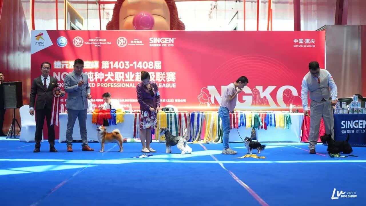 我們的榮譽