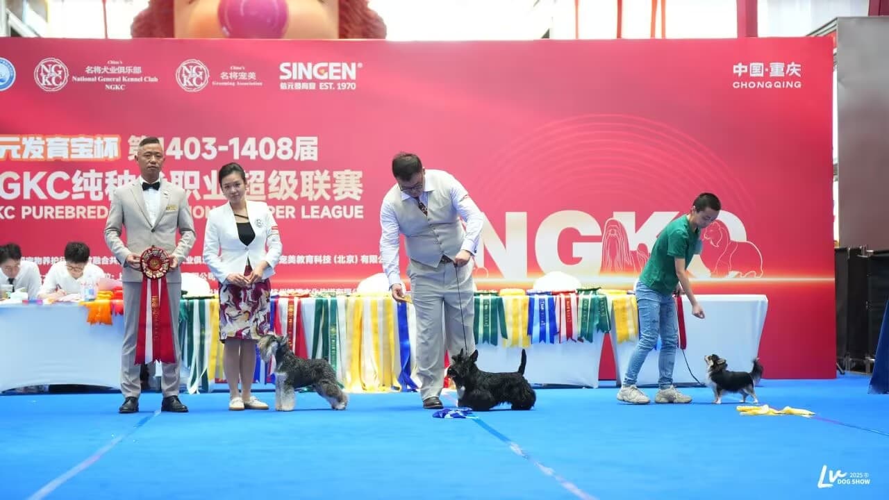 我們的榮譽