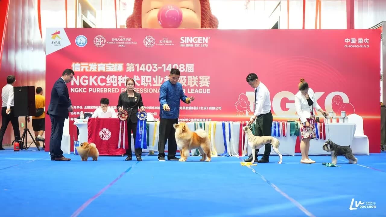 我們的榮譽