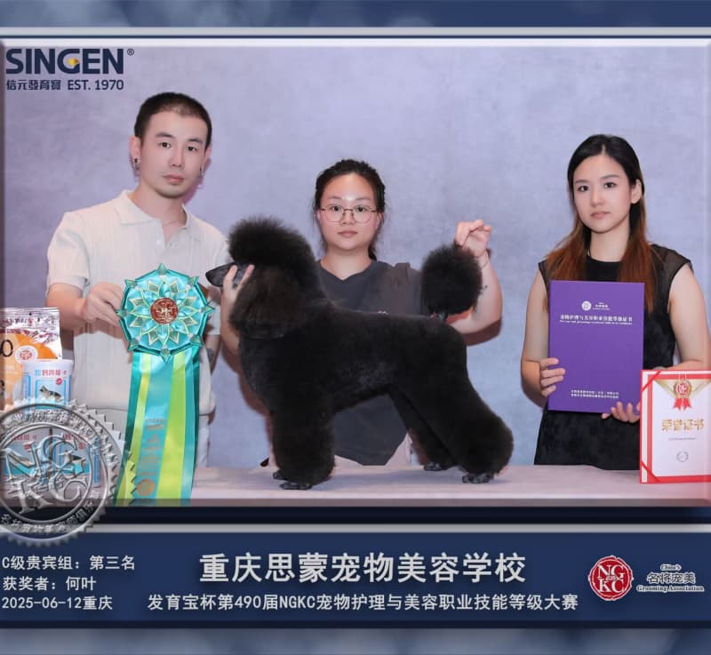 我們的榮譽