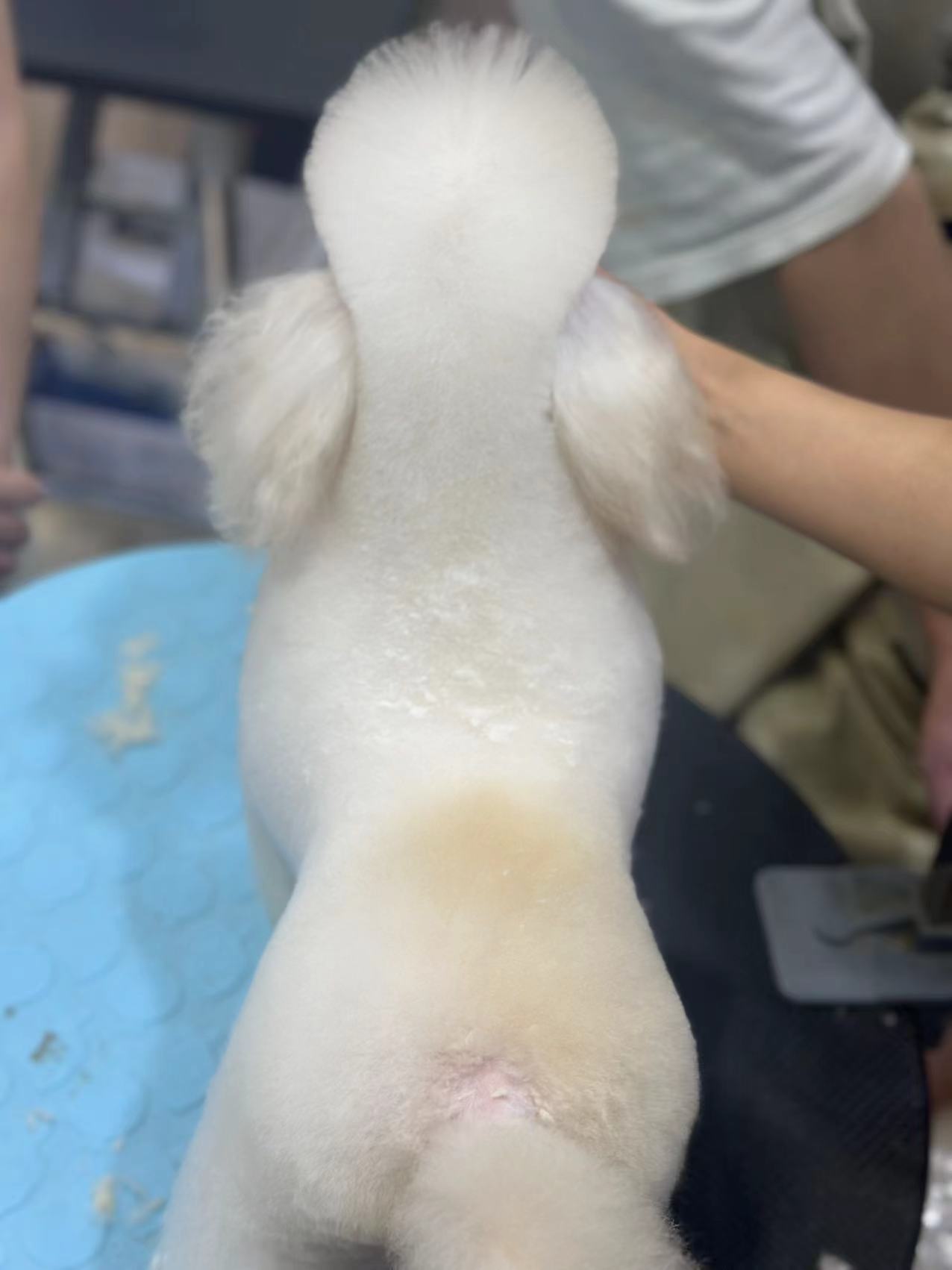 優秀作品