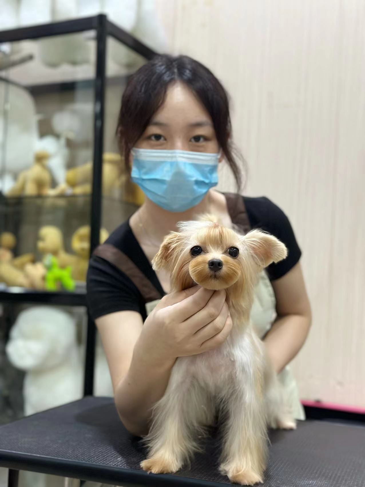 優秀作品