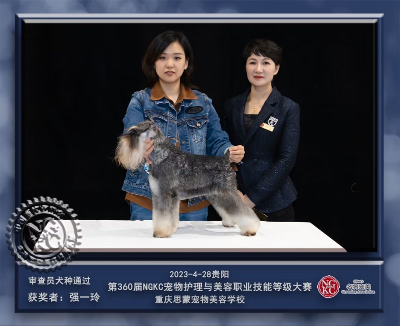 我們的榮譽(yù)