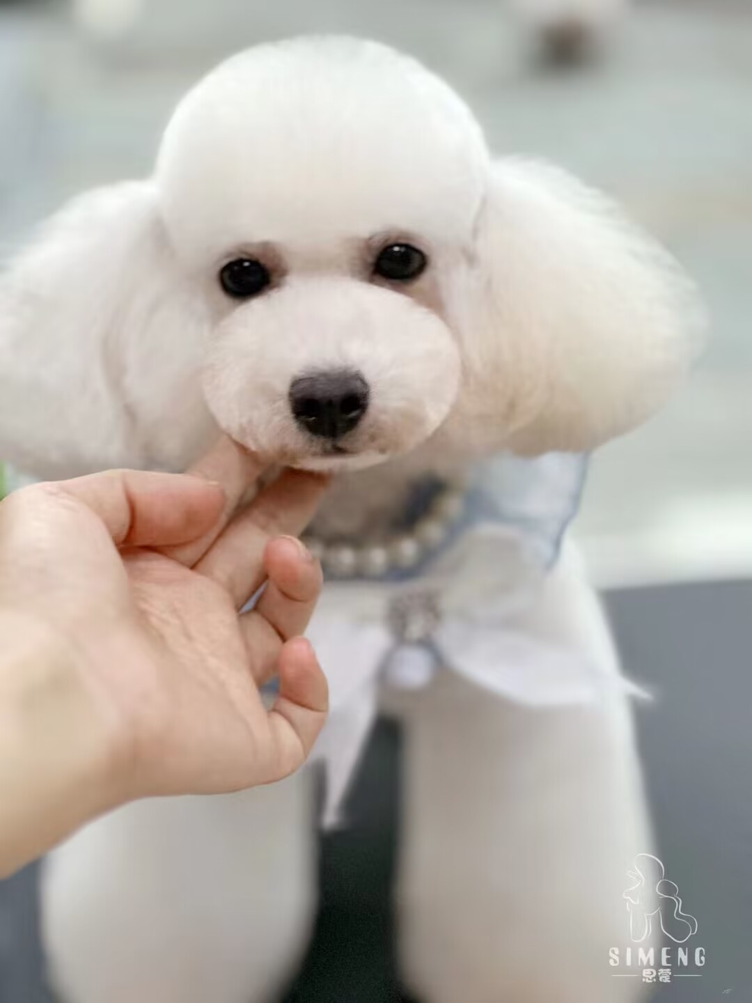 優秀作品