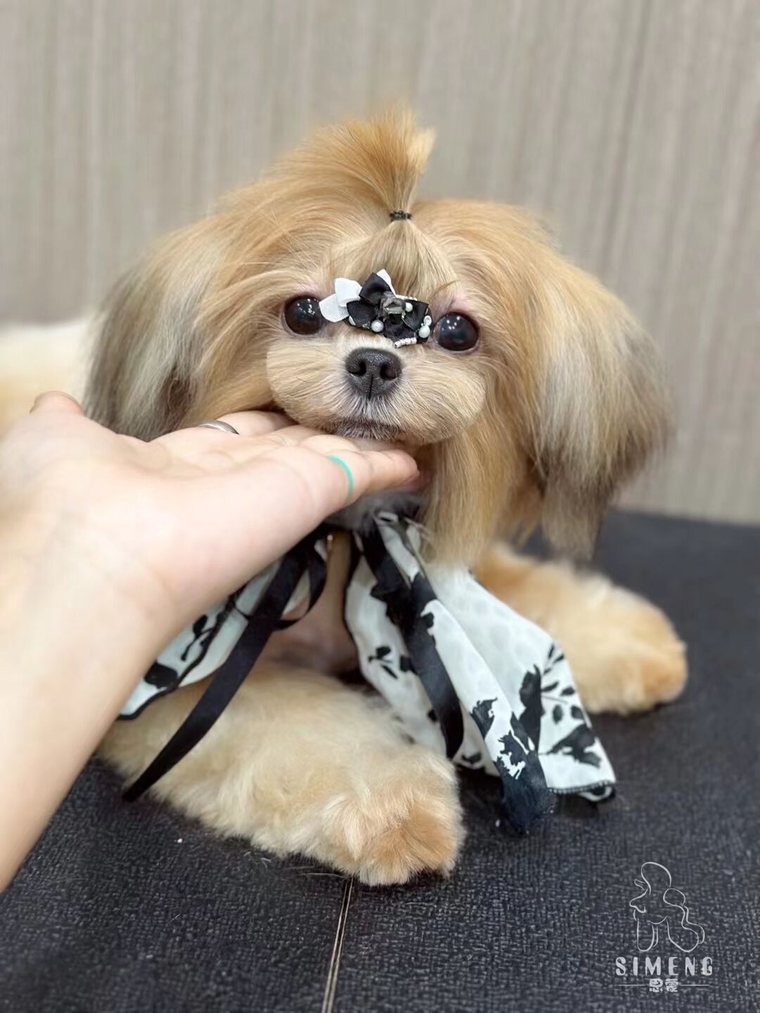 優秀作品