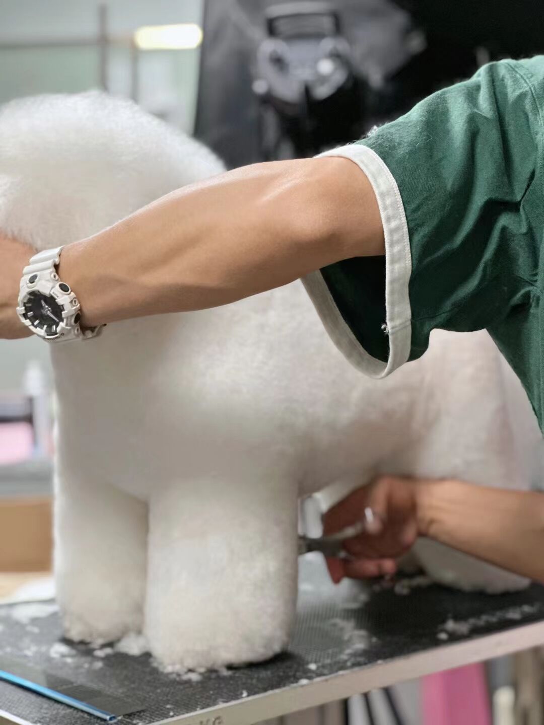 優(yōu)秀作品