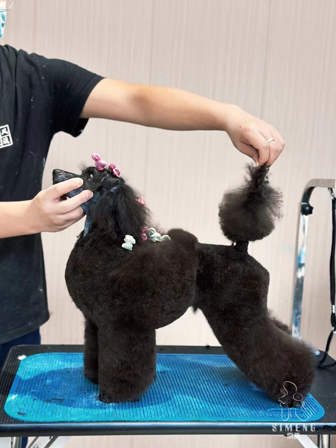 優秀作品