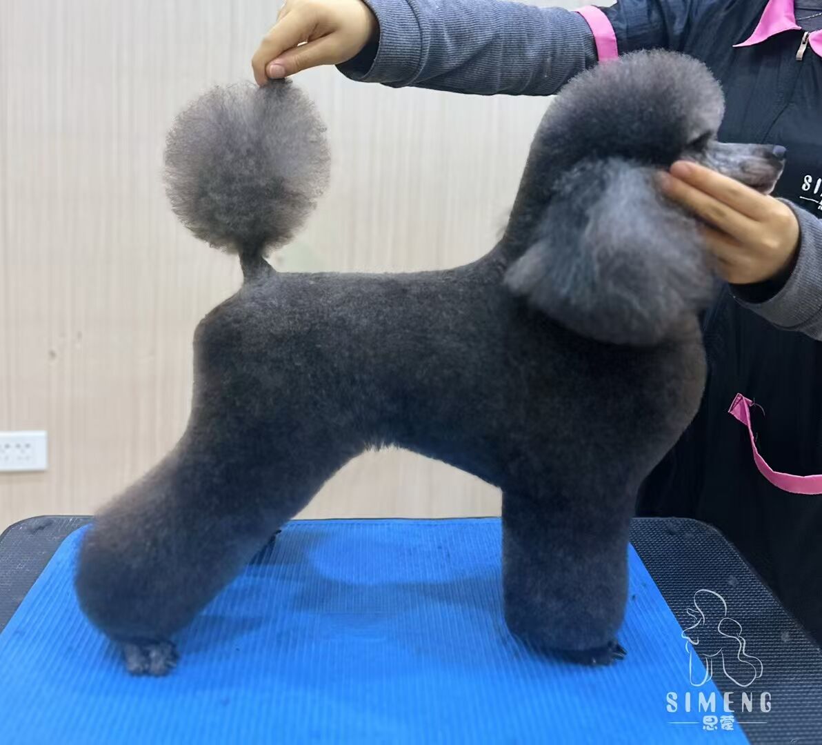 優(yōu)秀作品