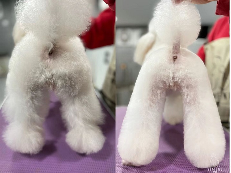 優(yōu)秀作品