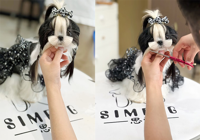 優(yōu)秀作品