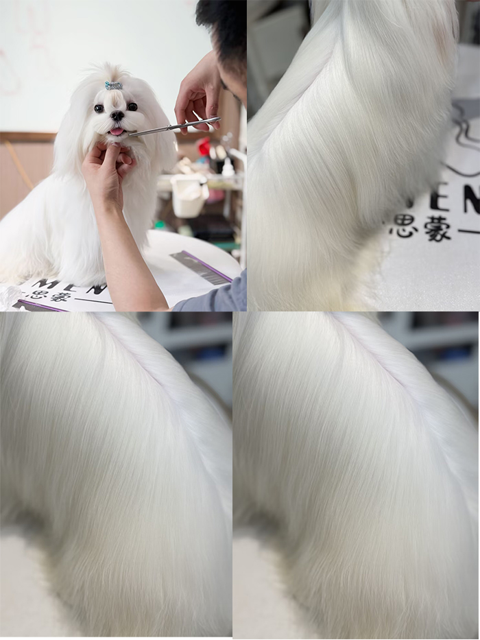 優(yōu)秀作品