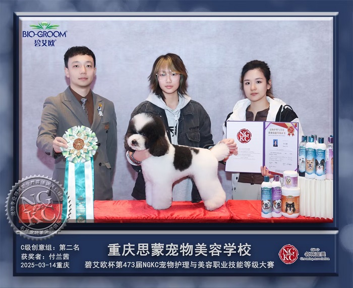 我們的榮譽