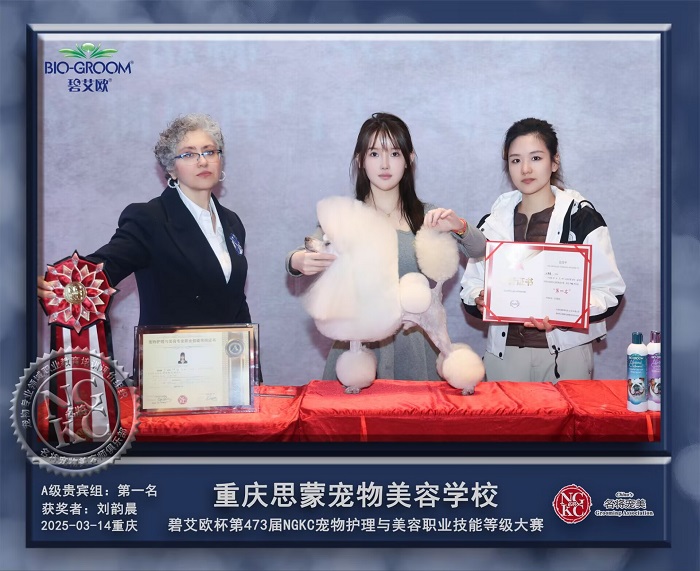 我們的榮譽(yù)