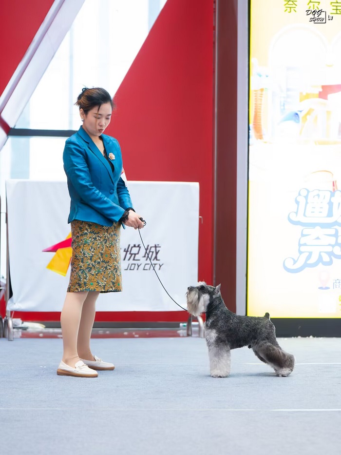 我們的榮譽(yù)