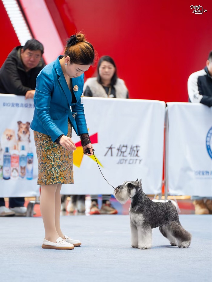 我們的榮譽(yù)