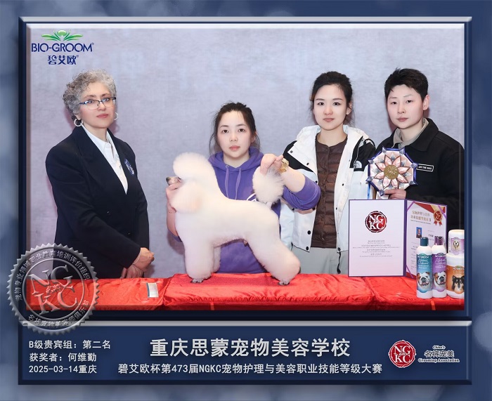 我們的榮譽