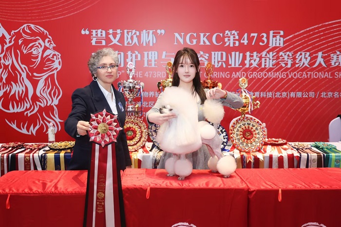 我們的榮譽(yù)