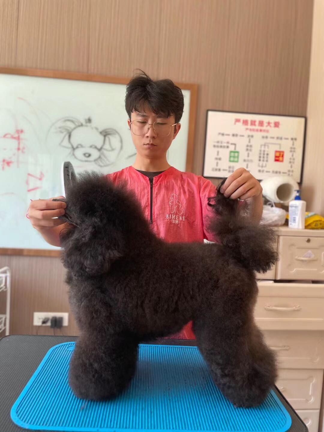 優(yōu)秀作品