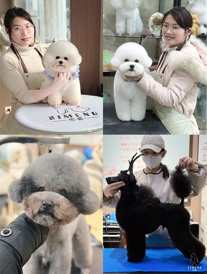 優(yōu)秀作品