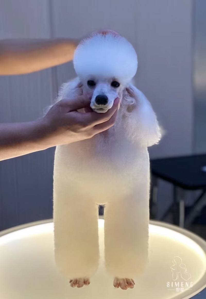 優秀作品