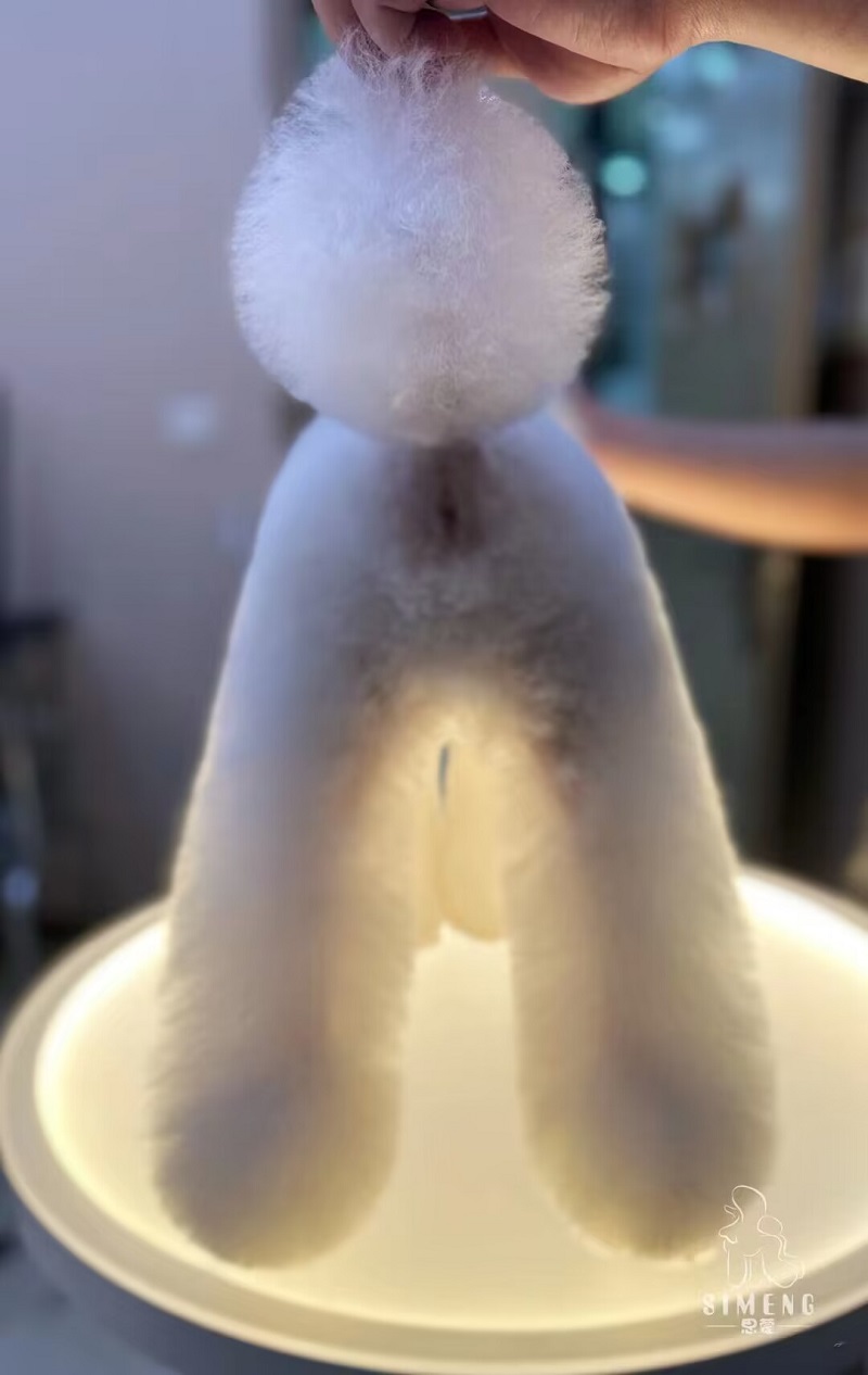 優秀作品